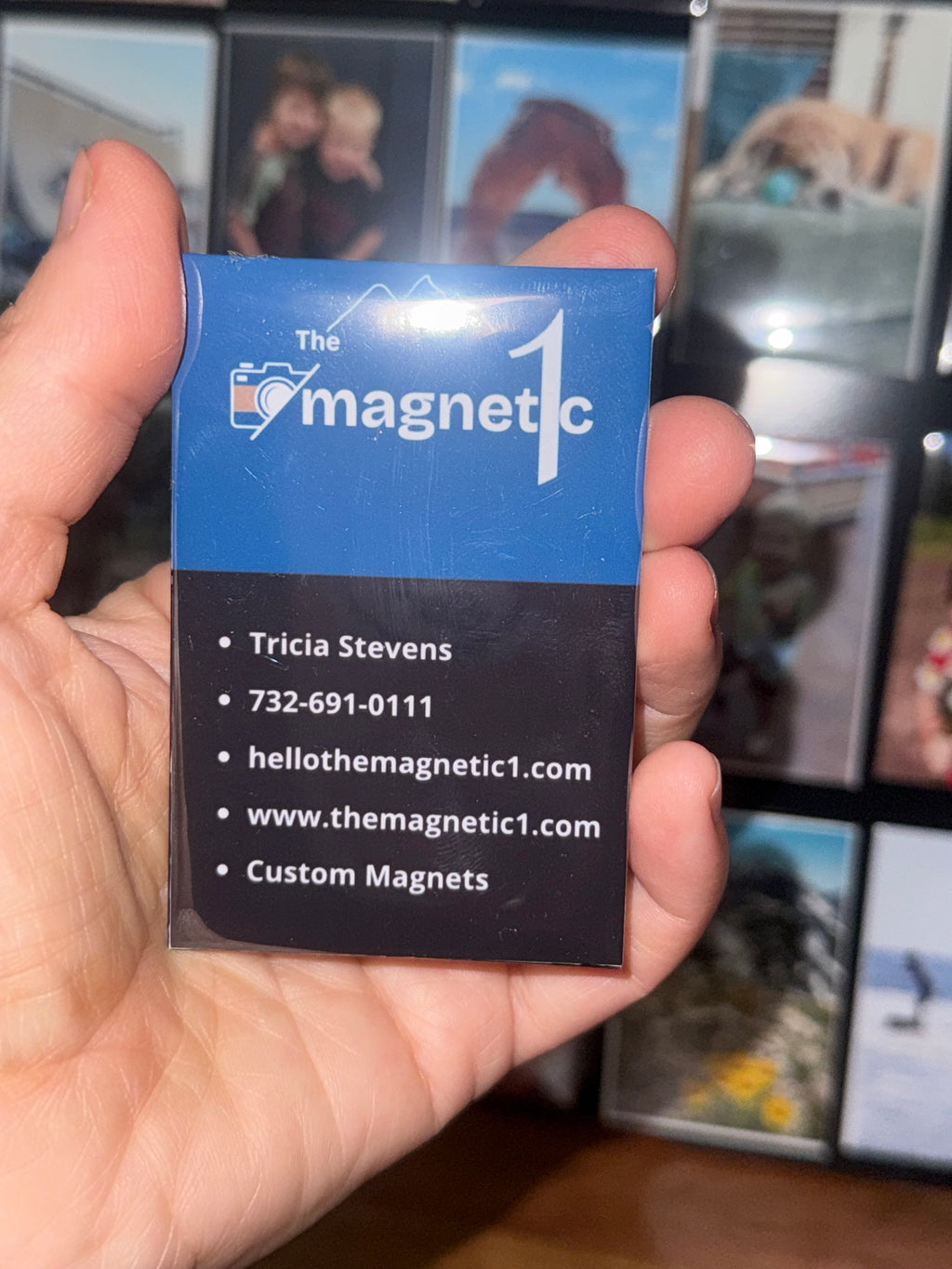 (50 pc) 2 x 3 Rectangular Magnet