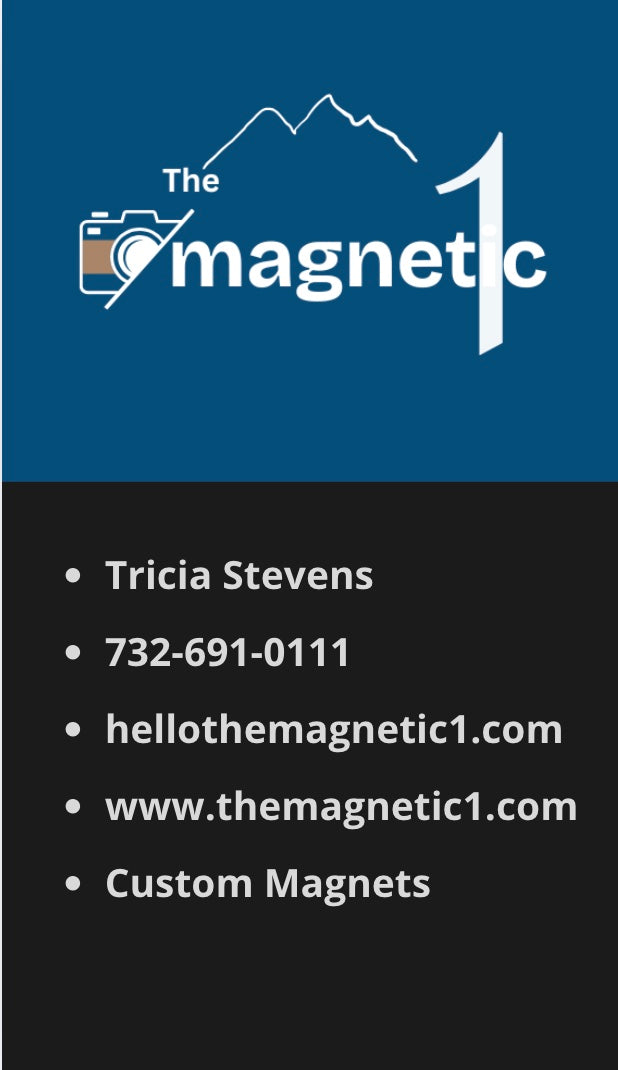 (50 pc) 2 x 3 Rectangular Magnet