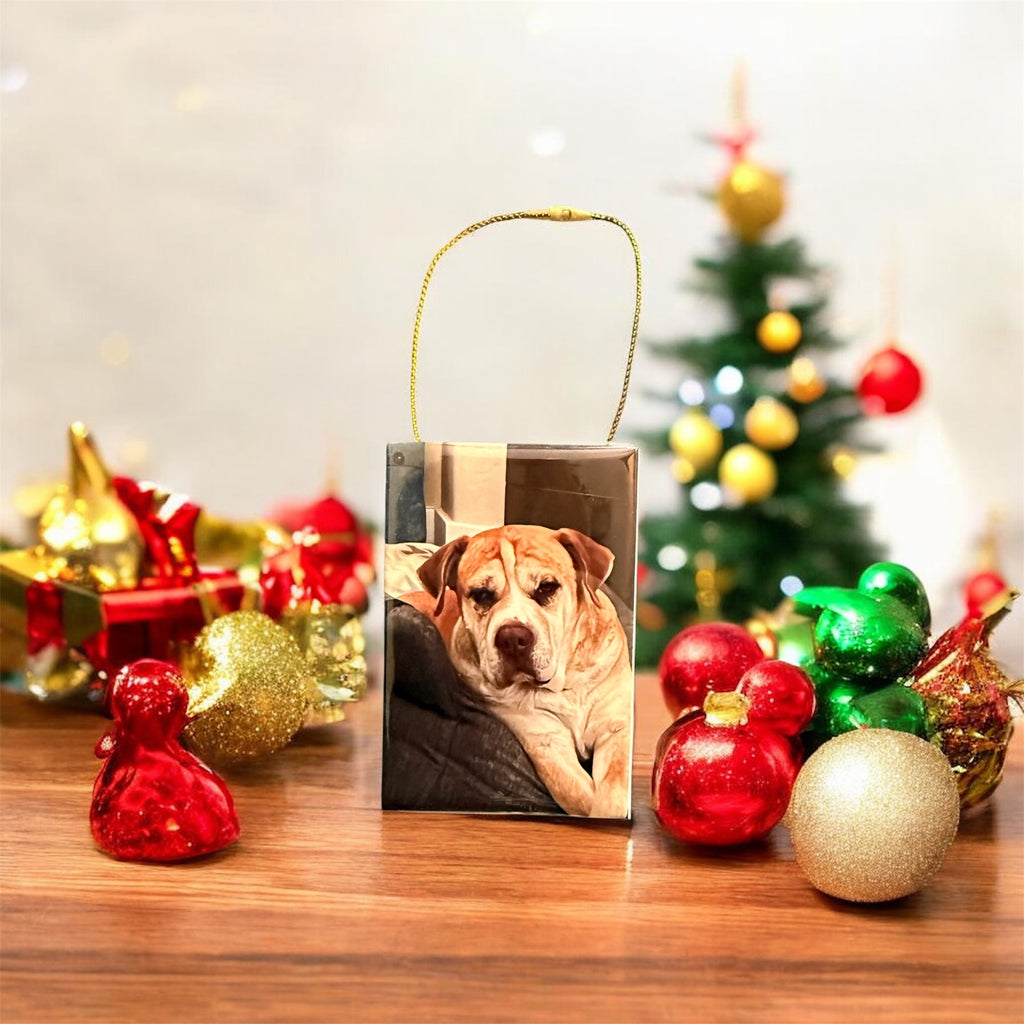 (1 pc)  2 x 3 Rectangular HOLIDAY ORNAMENT Magnets