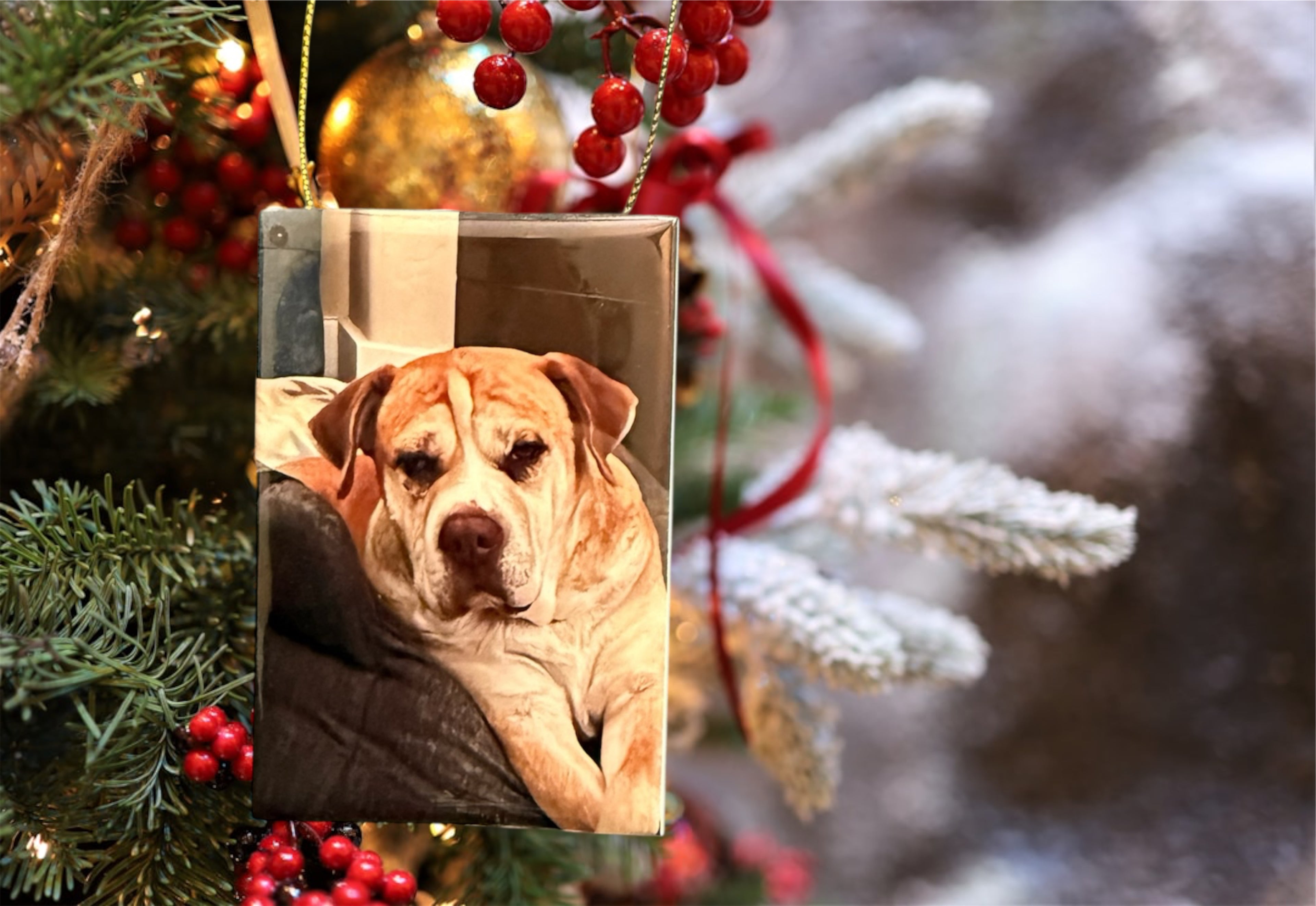 (1 pc)  2 x 3 Rectangular HOLIDAY ORNAMENT Magnets